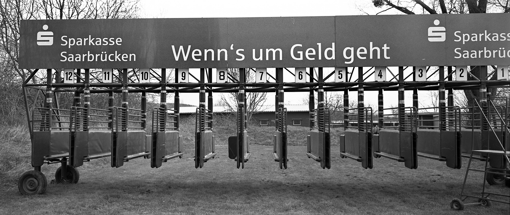 Holga auf der Rennbahn